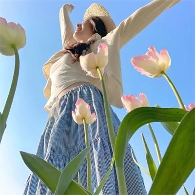 总理：先驱 高清封面